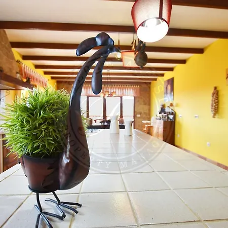 Fuerte Holiday Luxury Pool * Tuineje